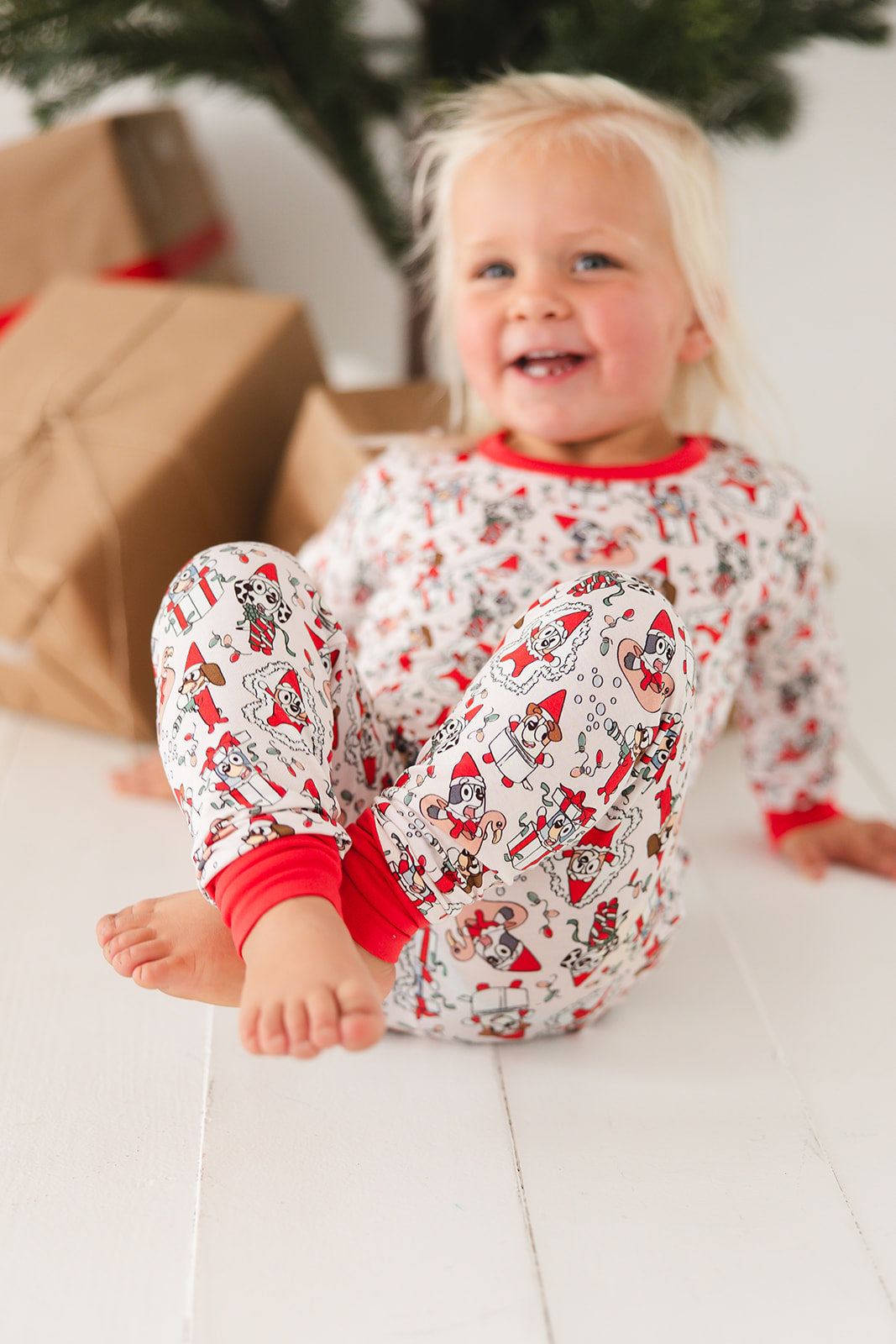 Pup On A Shelf Two Piece Set